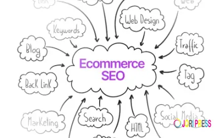 Ecommerce SEO Agency: What to Look For and Why It Matters