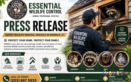 Essential Wildlife Control Addresses Growing Need for Wildlife in Attic Removal in Norwalk