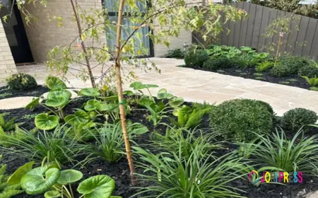 Why Professional Landscaping Services Are Worth the Investment