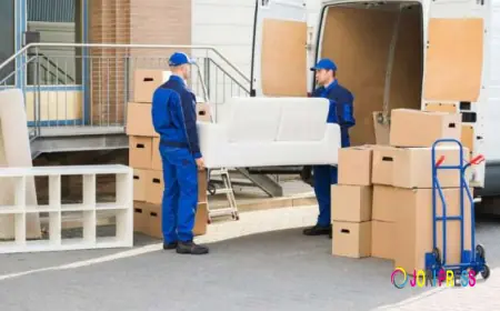 Looking for Trusted Birmingham Removal Company for Your Next Move?