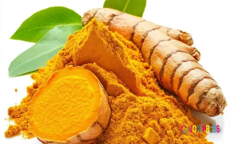What are the functions of turmeric extract?