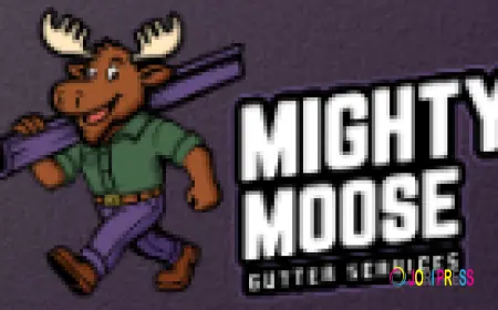 Mighty Moose Gutter Services