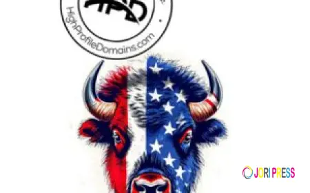 Why Americas Domain Names Matter for Online Success