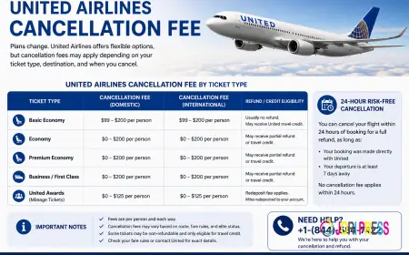 How Much Is a United Cancellation Fee? Full Rules for Every Ticket Type