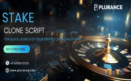 Stake Clone Script Development Company Guide: Choose the Right Partner