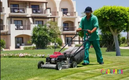 Landscaping Maintenance Services in Kuwait: Complete Guide to Keeping Your Outdoor Spaces Beautiful