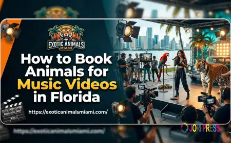 Animals For Music Videos | Hiring Animals For a Music Video - Exotic Animals Miami