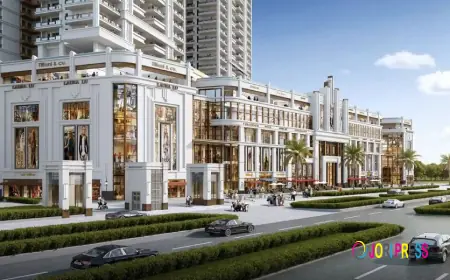 Hero Homes The Palatial Sector 104, Gurgaon — Luxury Living Redefined