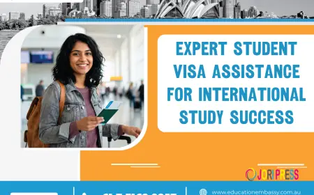 How to Choose the Best Immigration Agent in Brisbane