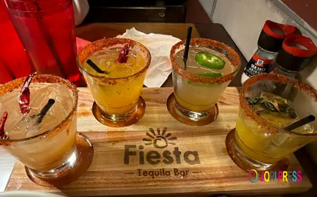 What Is the Best Fiesta Bar Near Me in Swansea?