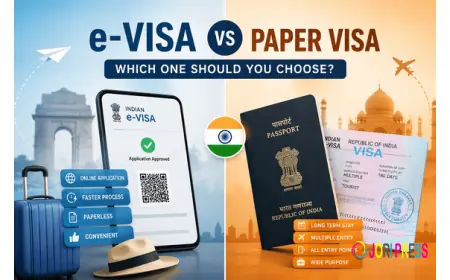 Indian e-Visa - Pros and Cons of Electronic Visa (eVisa) in India