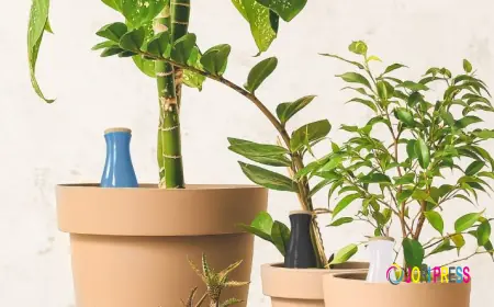 How Self Watering Systems Help Plants Thrive During Busy Lifestyles