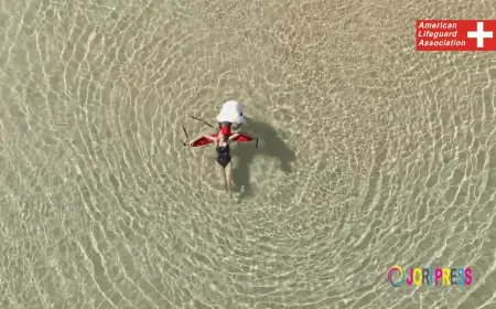 Professional Lifeguard Training for Water Safety Skills