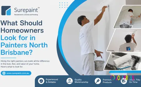 What Should Homeowners Look for in Painters in North Brisbane?