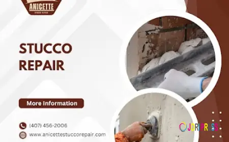 Anicette Stucco LLC Expands Stucco Repair in Tavares, FL