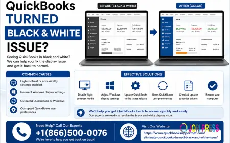 Fix QuickBooks Display Issues [2026 Updated Methods]