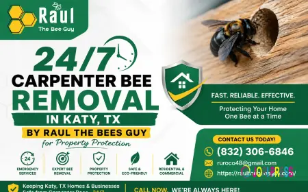 24/7 Carpenter Bee Removal in Katy, TX By Raul The Bees Guy for Property Protection