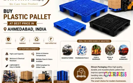 How to Get the Best Plastic Pallet Price Without Compromising Quality