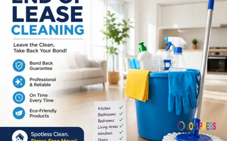The Importance of End of Lease Cleaning Mornington Peninsula for Every Tenant
