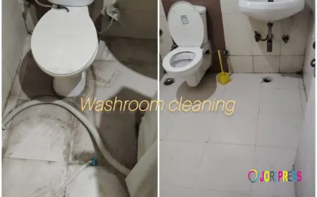 Home Cleaning Services in Raipur: Everything You Need to Know Before Booking