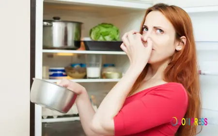 Frigidaire Washer Not Spinning? Causes & Easy Fixes