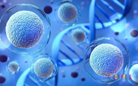 Affordable Stem Cell Therapy in Delhi