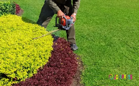 How Shrub Care Services Protect Your Landscape Investment