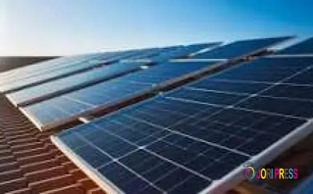 Why TruNorthSolar Is Leading Minnesota's Solar Energy Revolution
