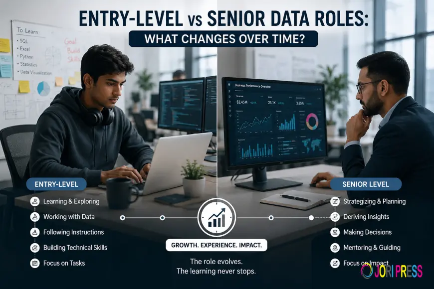 Entry-Level vs Senior Data Roles: What Changes Over Time?