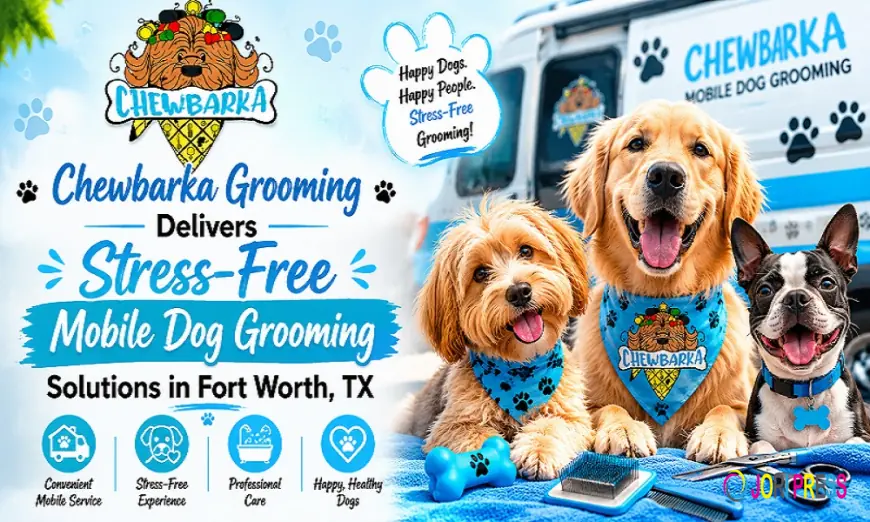 Chewbarka Grooming Delivers Stress-Free Mobile Dog Grooming Solutions in Fort Worth, TX