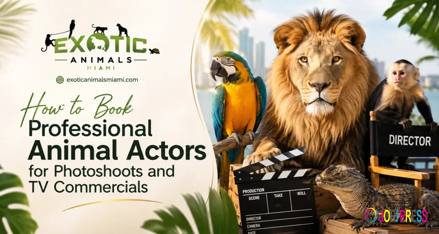 Hiring Animals For Acting In A Production | Professional Animal Actors for Photoshoots - Exotic Animals Miami