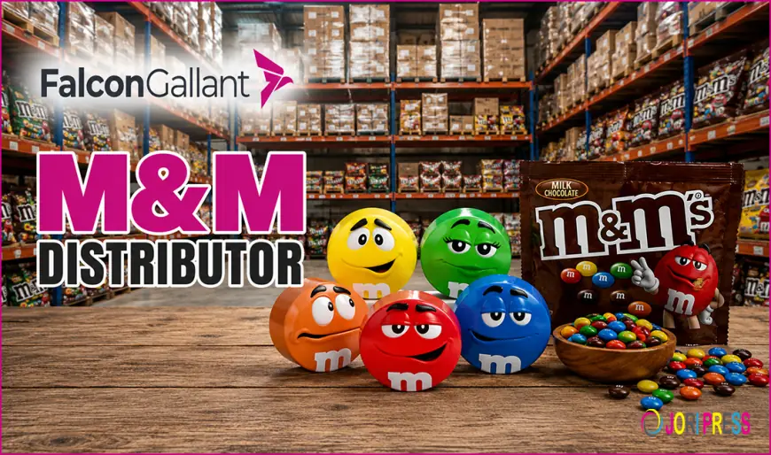 Falcon Gallant strengthens its position as a reliable M&M distributor in Spain