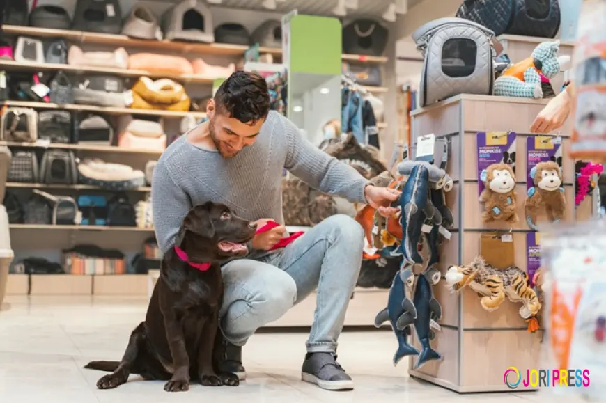 Royal Pet Becomes a Trusted Pet Store Qatar Families Love