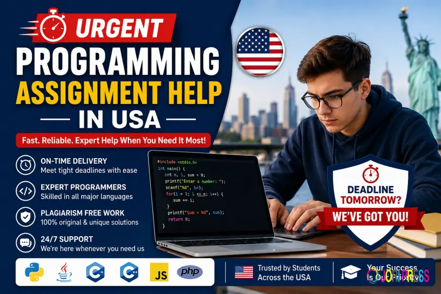 Urgent Programming Assignment Help for Students Facing Complex Coding Tasks