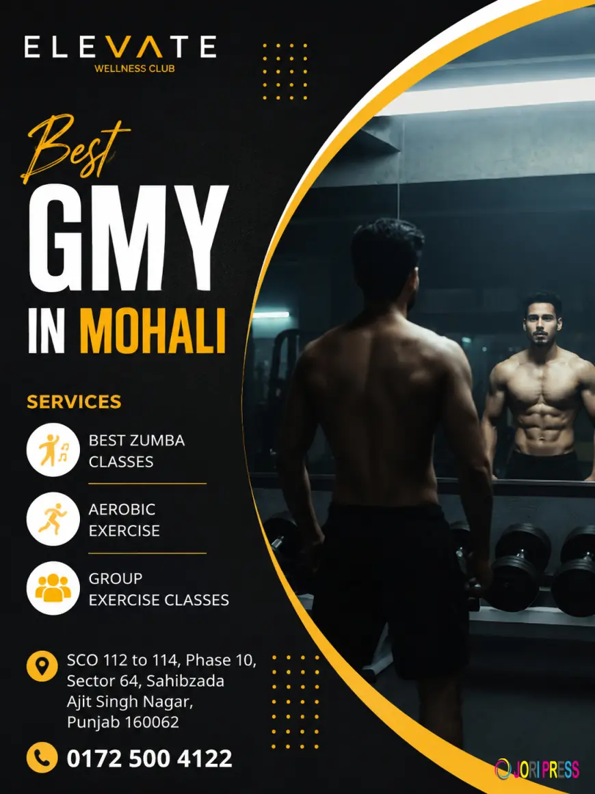 Top Rated Gym in Mohali Elevate Wellness Club Sets New Benchmarks in Fitness Excellence