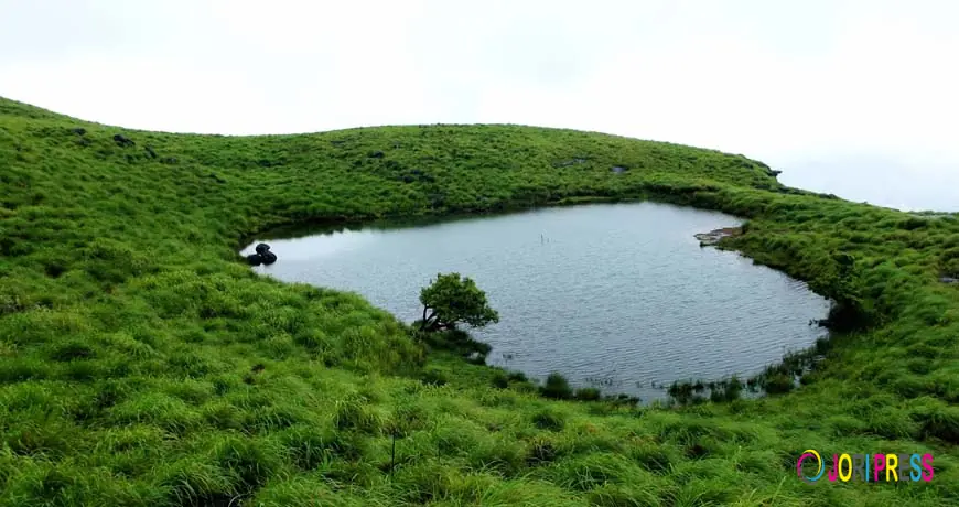 Wayanad tour packages