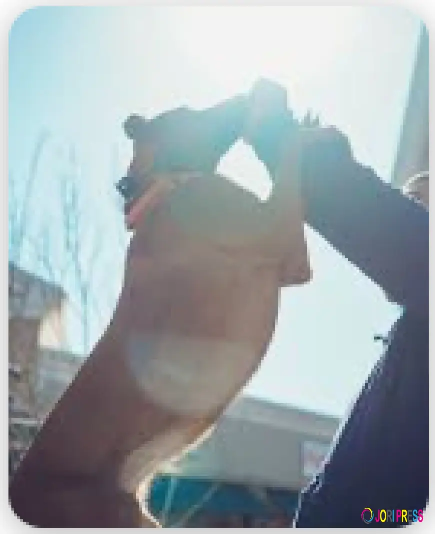 Coastal K9 Academy