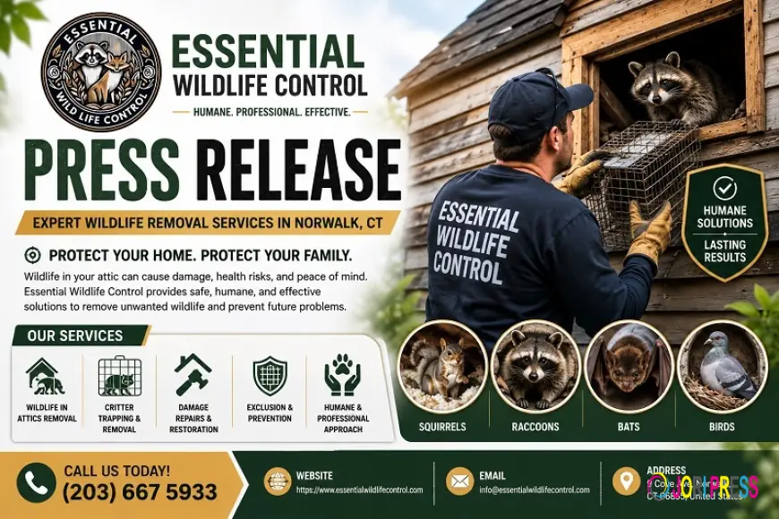 Essential Wildlife Control Addresses Growing Need for Wildlife in Attic Removal in Norwalk