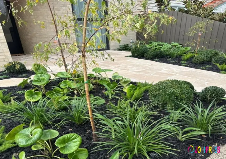 Why Professional Landscaping Services Are Worth the Investment