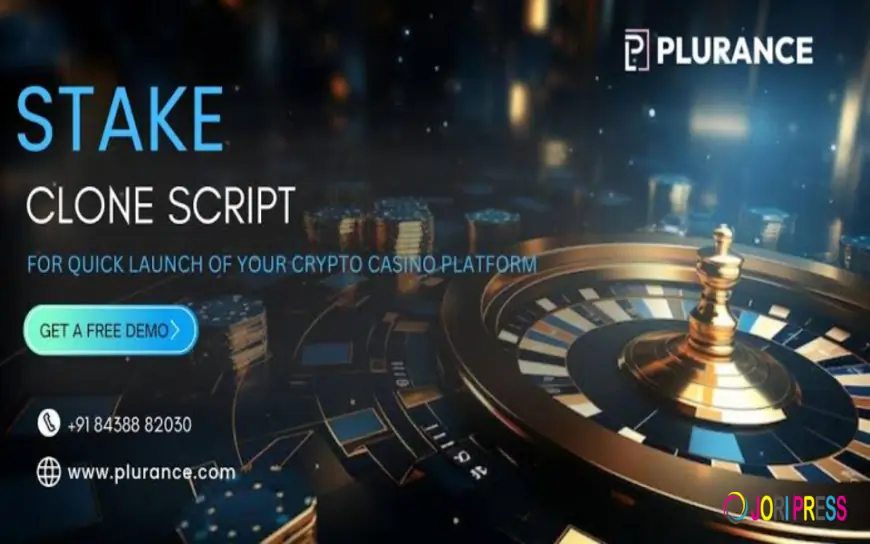 Stake Clone Script Development Company Guide: Choose the Right Partner