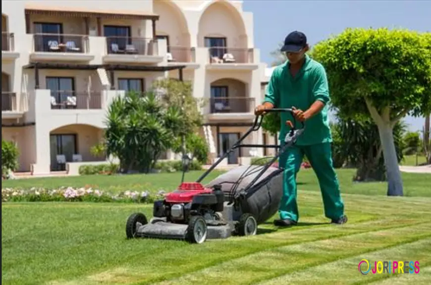 Landscaping Maintenance Services in Kuwait: Complete Guide to Keeping Your Outdoor Spaces Beautiful