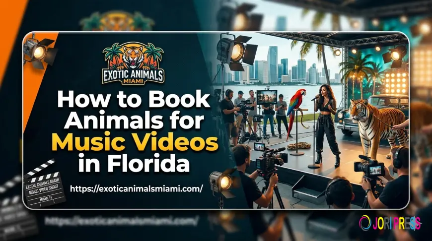 Animals For Music Videos | Hiring Animals For a Music Video - Exotic Animals Miami
