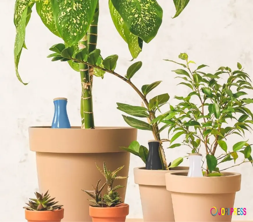 How Self Watering Systems Help Plants Thrive During Busy Lifestyles