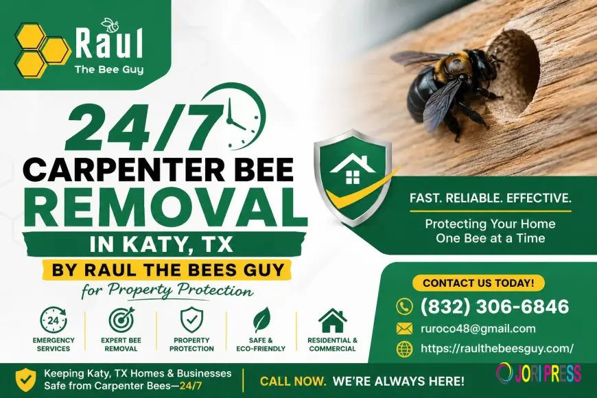 24/7 Carpenter Bee Removal in Katy, TX By Raul The Bees Guy for Property Protection