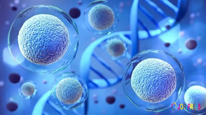 Affordable Stem Cell Therapy in Delhi