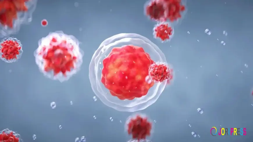 Trusted Stem Cell Consultation in India
