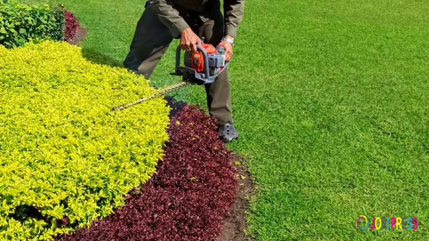 How Shrub Care Services Protect Your Landscape Investment