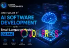 The Future of AI Software Development with Small Language Models (SLMs)