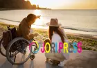 NDIS Providers Brisbane: The Complete Guide to Finding the Right Support in 2026
