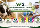 VF2 Building Better Dairy Farming Through Smart Nutrition